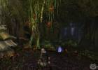 Dungeons and Dragons Online screenshot 3