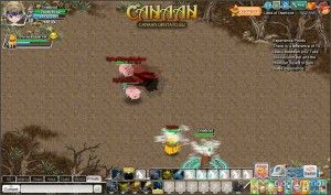 Canaan Online-screenshot_fight