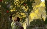 lorien_field_appletree