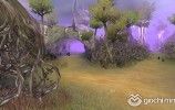 Adelia_newsafarimap