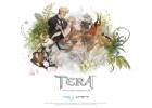 TERA wallpaper 2