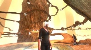 TSW review (28)