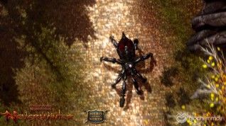 nw_screen_founder_012913_06