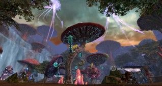 Scarlet Blade_Mushroom Forest