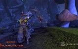 neverwinter_feywild_pack_071213_wm_03