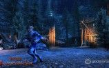 neverwinter_feywild_pack_071213_wm_19