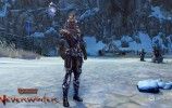 Neverwinter shot 1