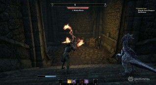 TESO screenshot (14)