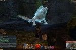 Guild Wars 2 screenshot (24)