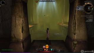 Neverwinter screenshot (10)