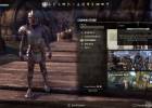 The Elder Scrolls Online screenshot 2