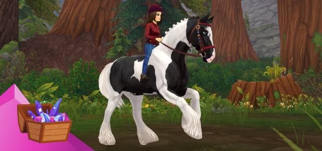 Star Stable Star Coin Doppie